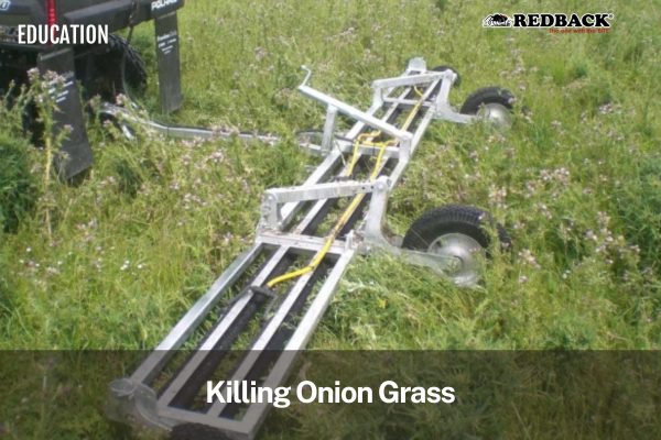 Redback Blog Feature Image - Kill Onion Grass